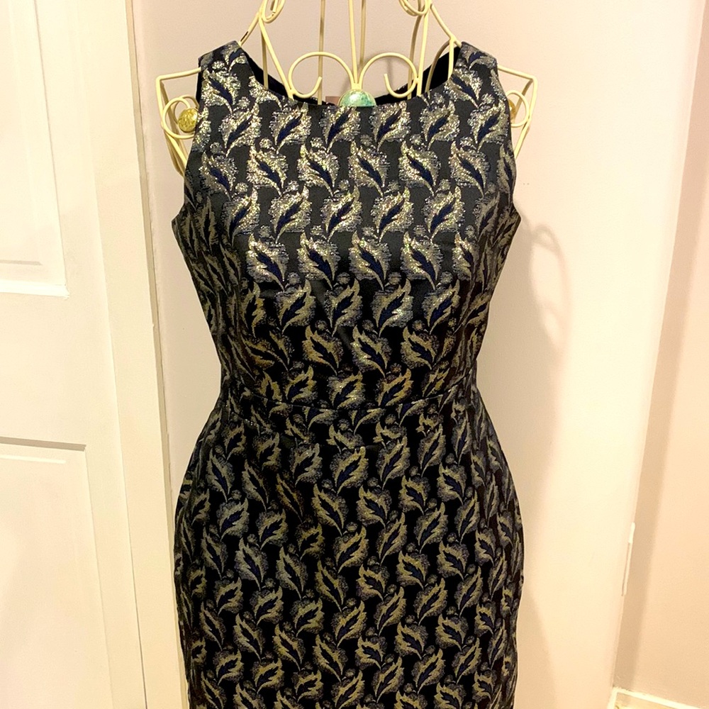 NWT Ann Taylor Dress
